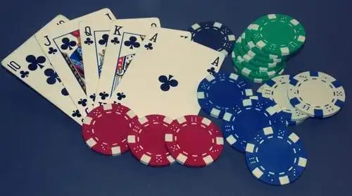y444 game